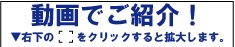 動画案内